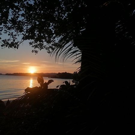 Port Antonio Brian'S Beach House エクステリア 写真