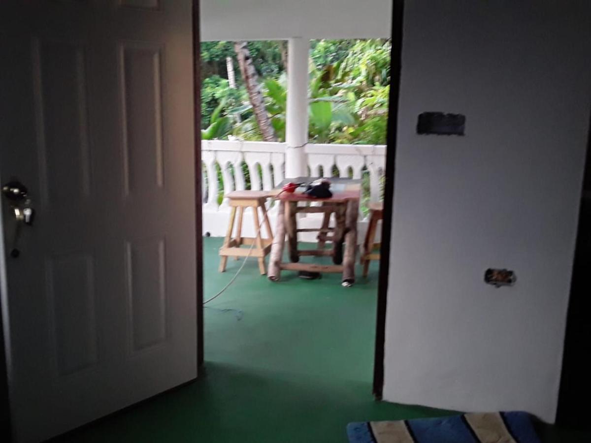Port Antonio Brian'S Beach House エクステリア 写真