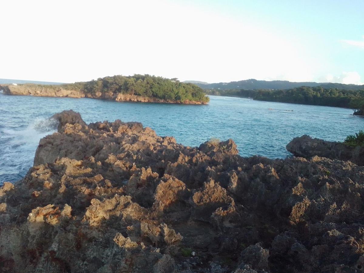 Port Antonio Brian'S Beach House エクステリア 写真