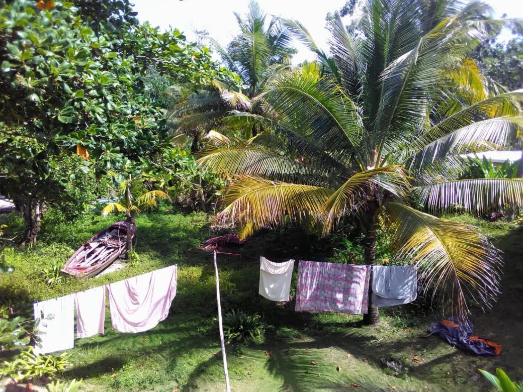Port Antonio Brian'S Beach House エクステリア 写真