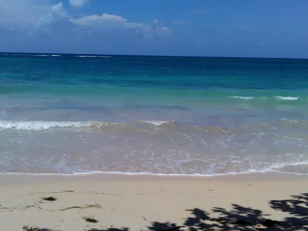 Port Antonio Brian'S Beach House エクステリア 写真