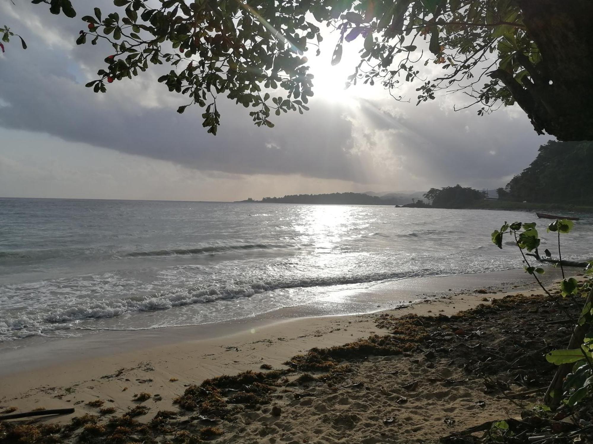 Port Antonio Brian'S Beach House エクステリア 写真