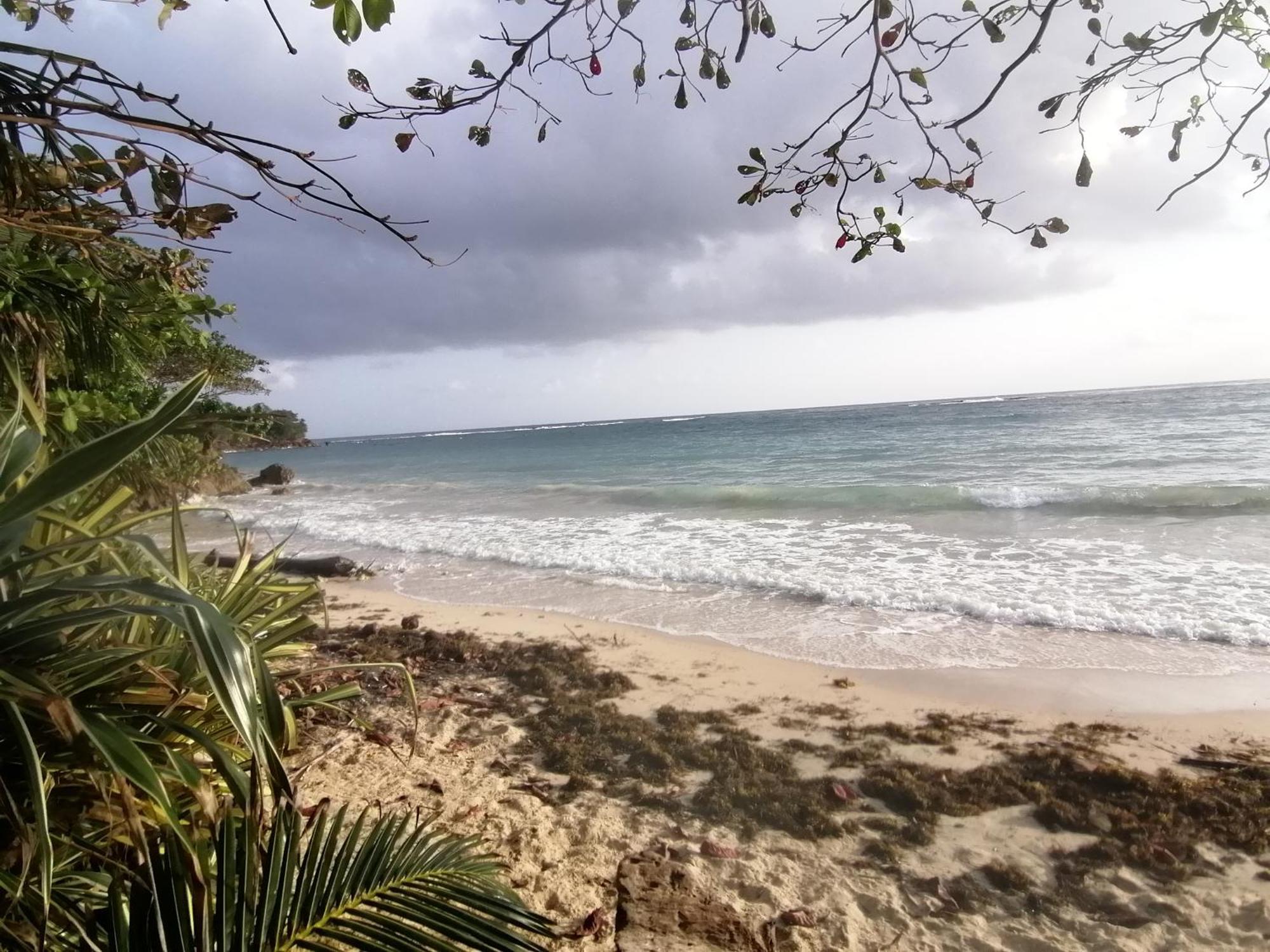 Port Antonio Brian'S Beach House エクステリア 写真