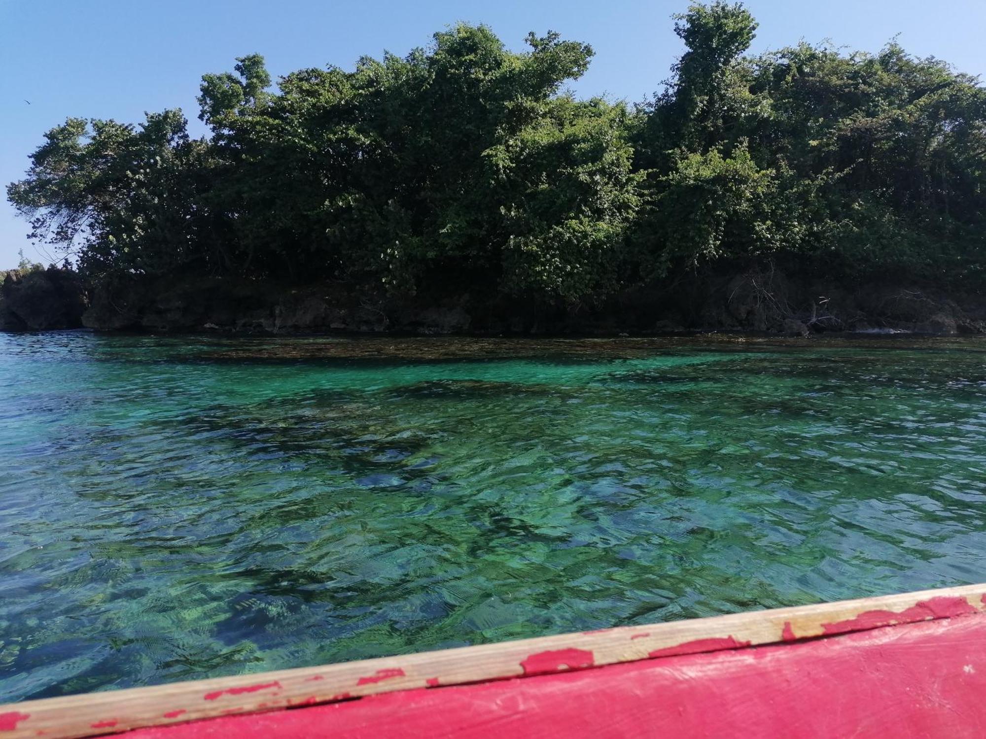 Port Antonio Brian'S Beach House エクステリア 写真