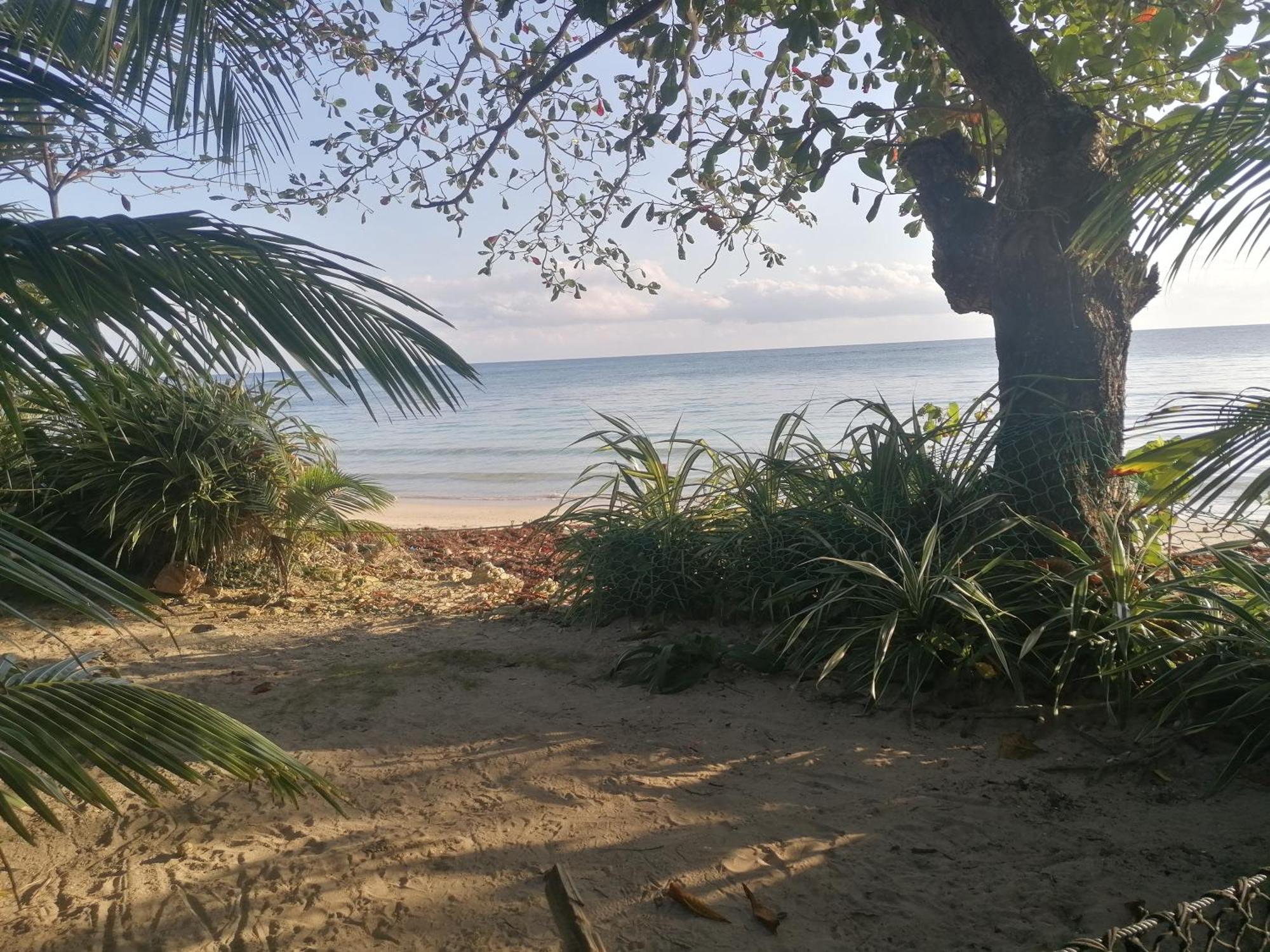 Port Antonio Brian'S Beach House エクステリア 写真