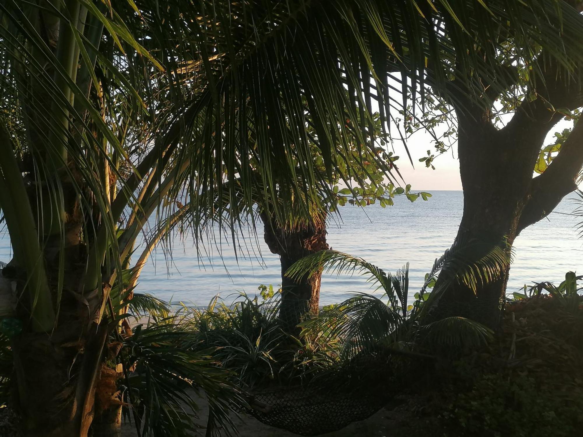 Port Antonio Brian'S Beach House エクステリア 写真