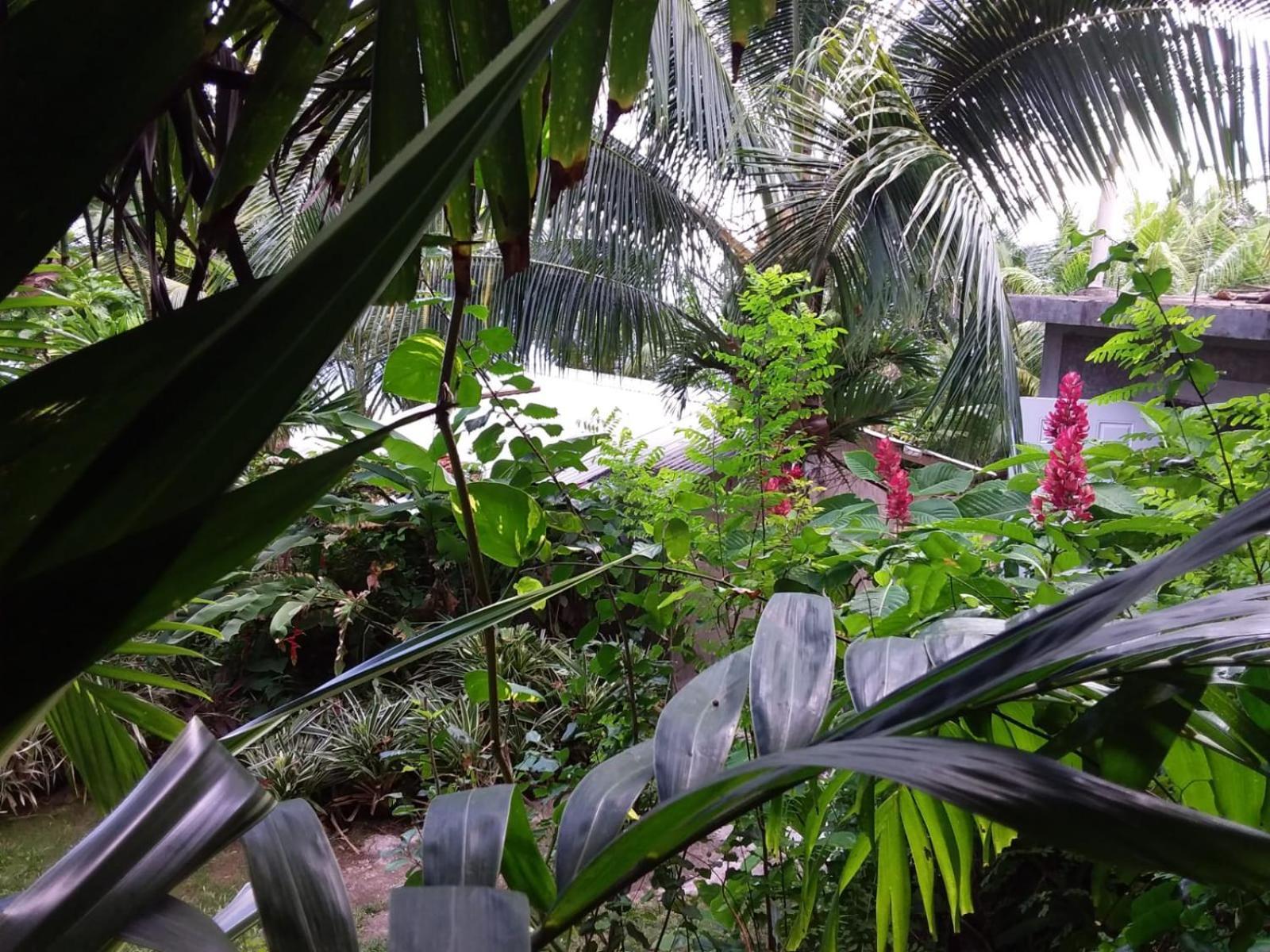 Port Antonio Brian'S Beach House エクステリア 写真