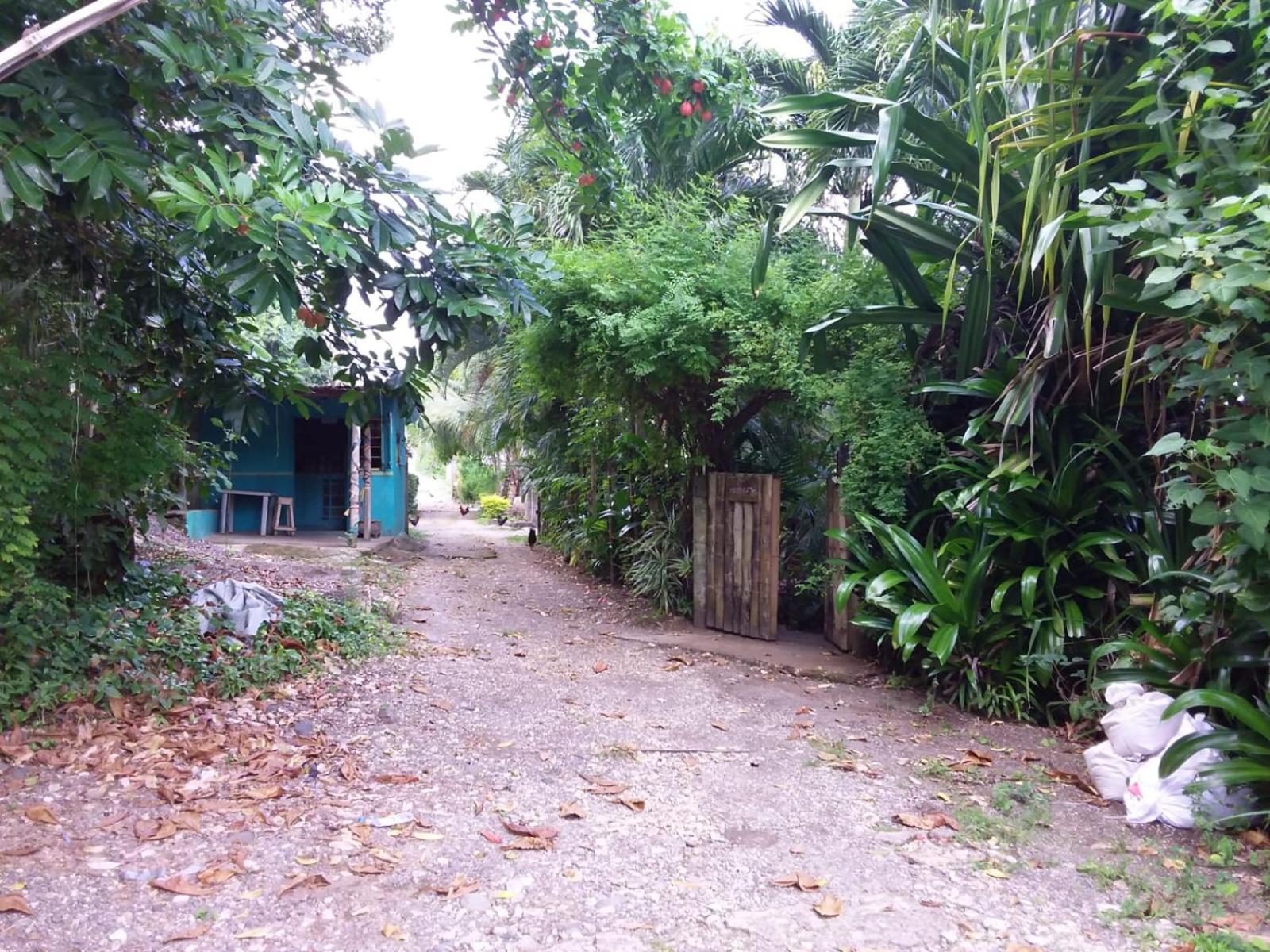 Port Antonio Brian'S Beach House エクステリア 写真