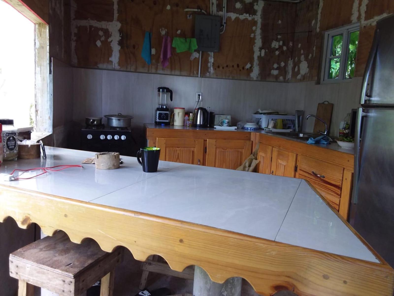 Port Antonio Brian'S Beach House エクステリア 写真