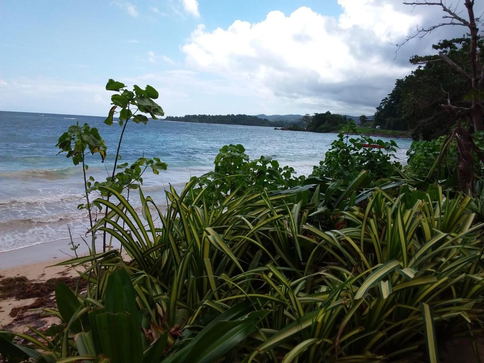 Port Antonio Brian'S Beach House エクステリア 写真