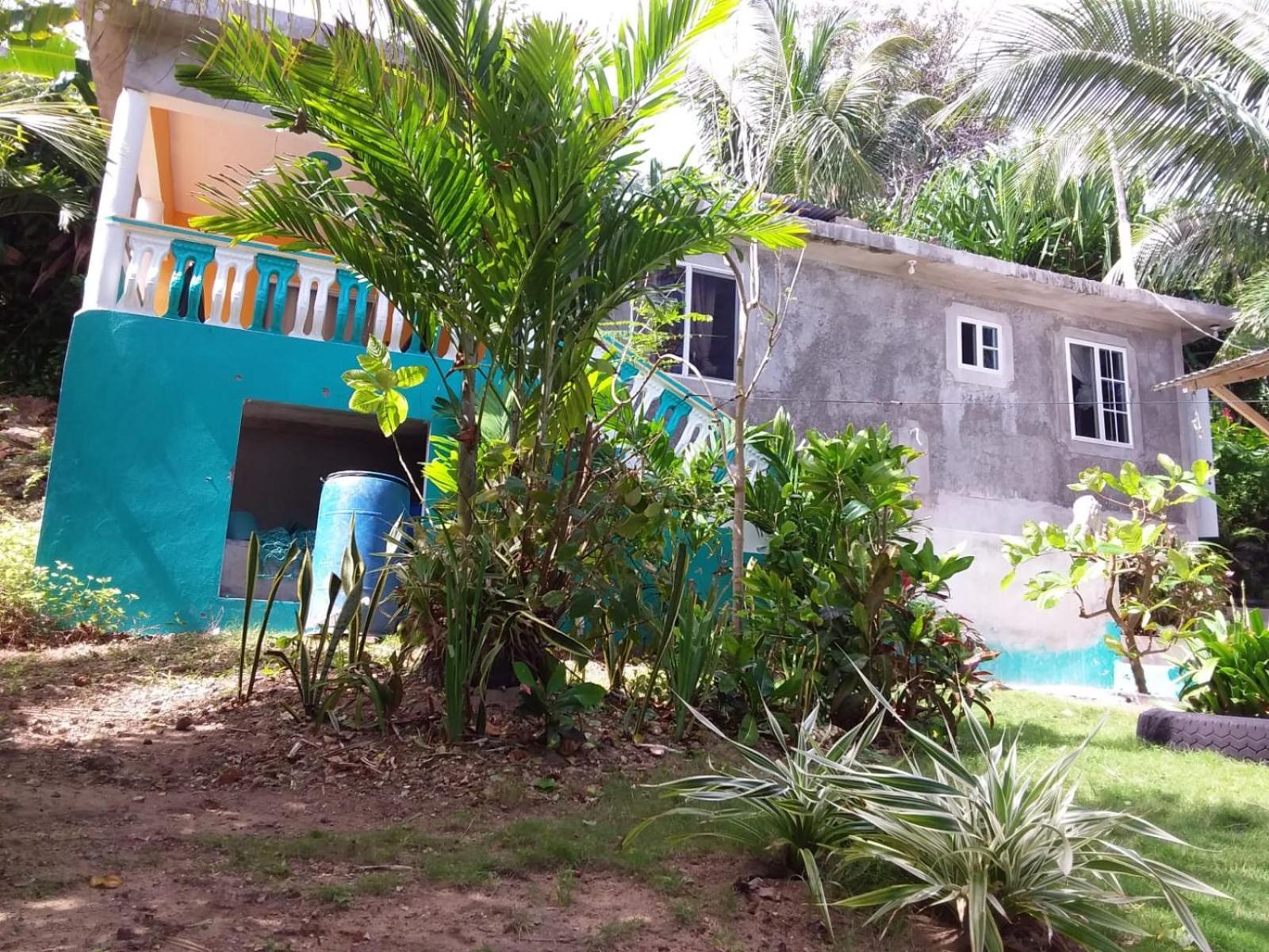 Port Antonio Brian'S Beach House エクステリア 写真