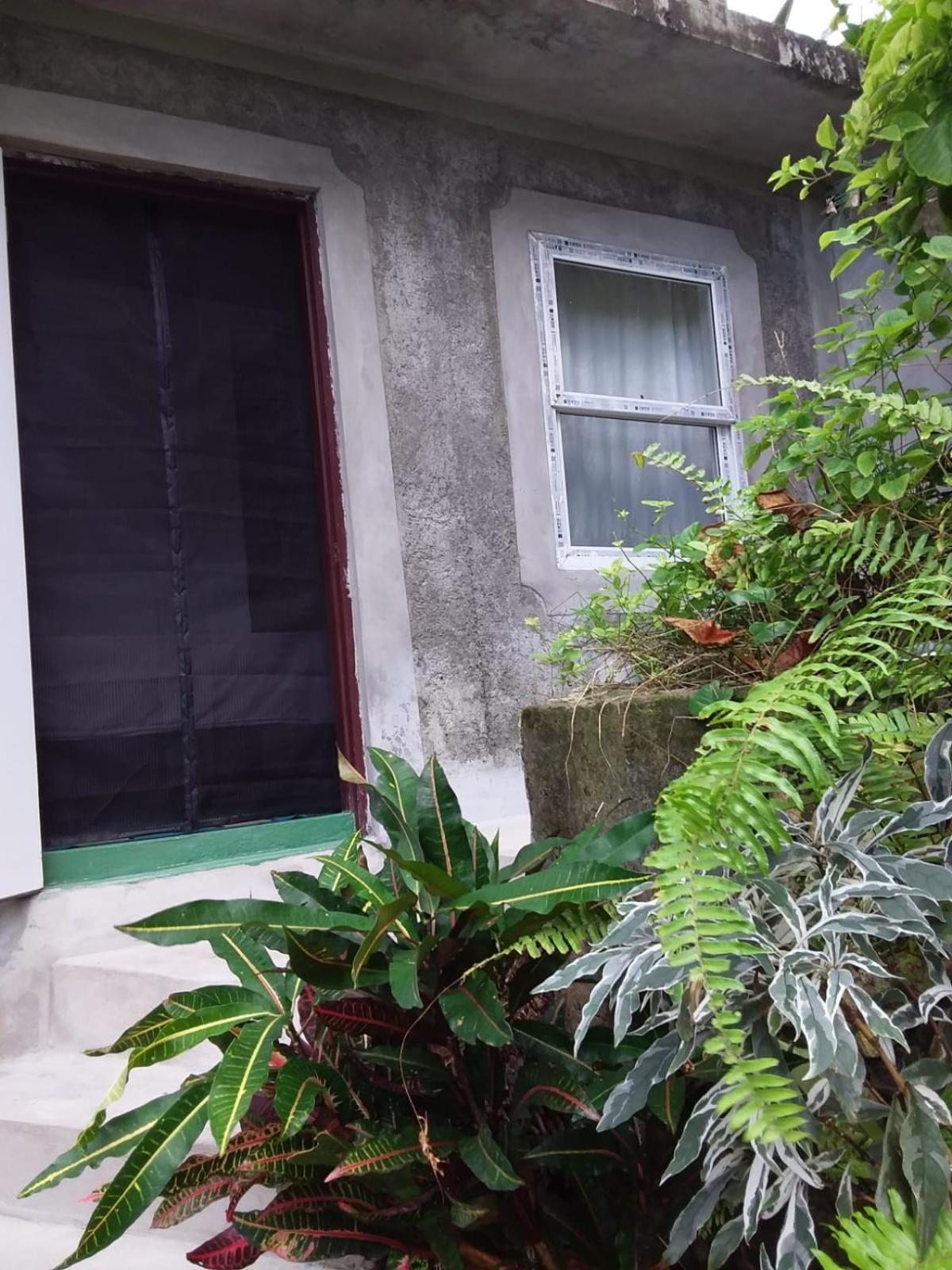 Port Antonio Brian'S Beach House エクステリア 写真