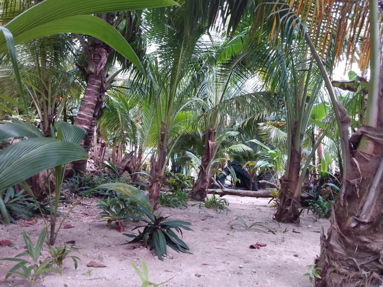Port Antonio Brian'S Beach House エクステリア 写真