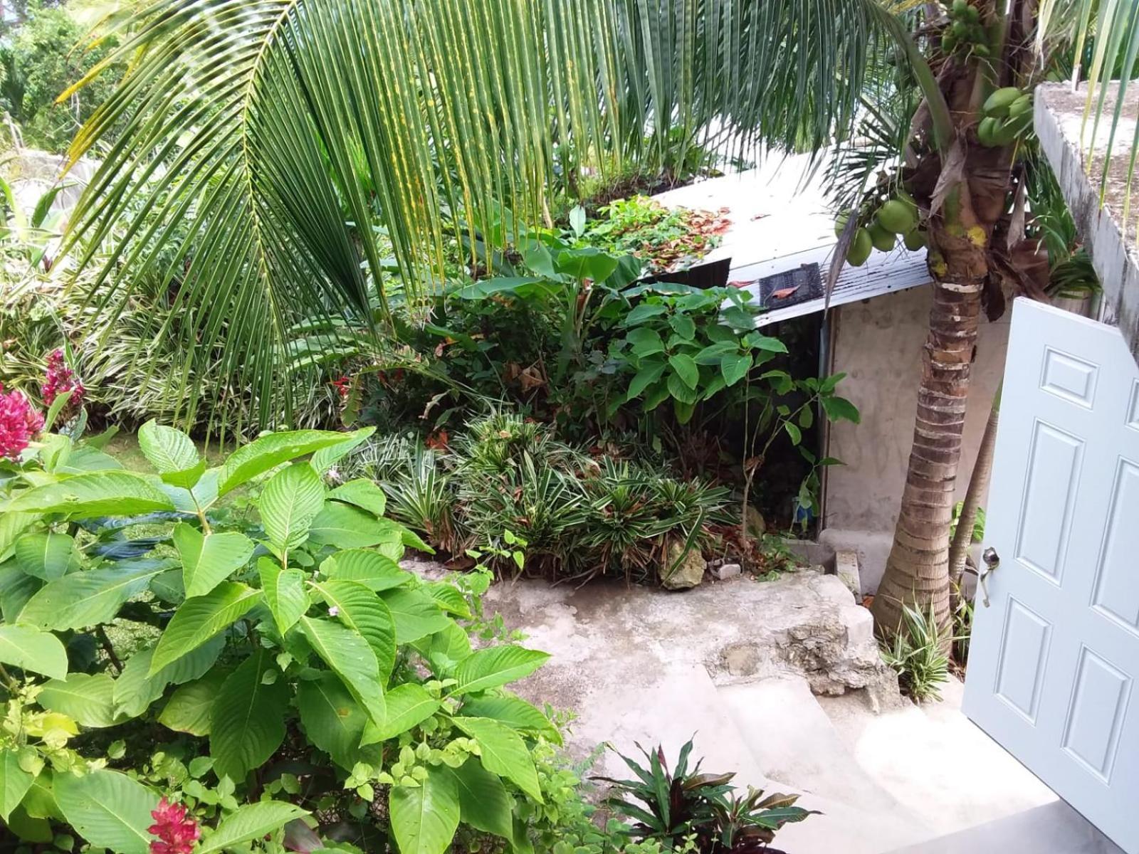 Port Antonio Brian'S Beach House エクステリア 写真